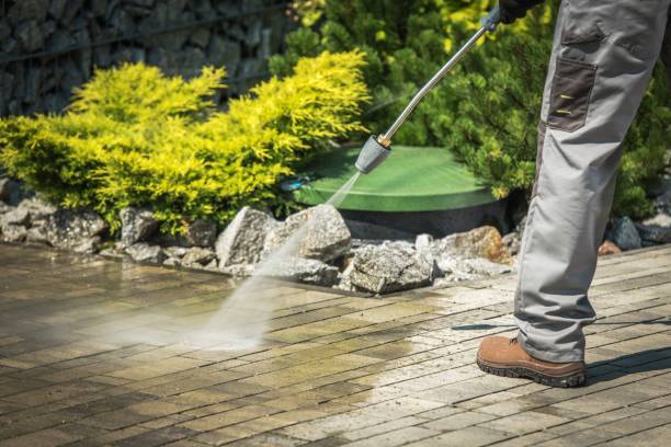 Best Building Exterior Washing  in Homestead Meadows South, TX