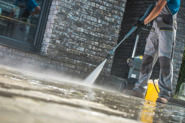 Best Animal Enclosure Cleaning  in Homestead Meadows South, TX