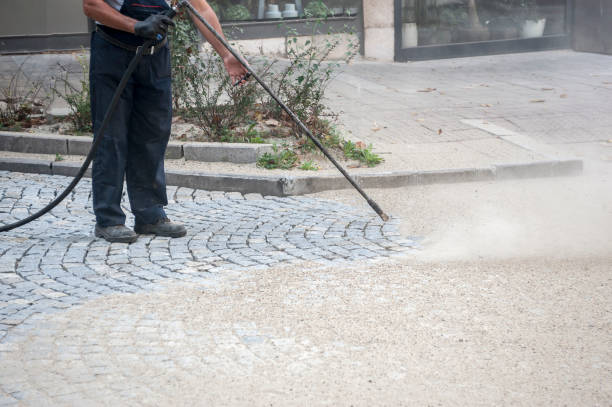 Best Concrete Sealing  in Homestead Meadows South, TX