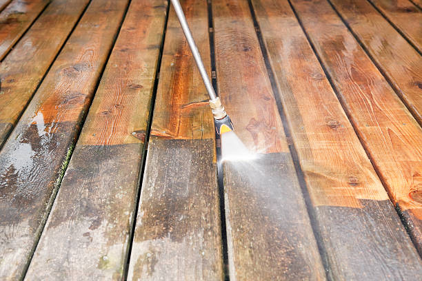Best Driveway Pressure Washing  in Homestead Meadows South, TX